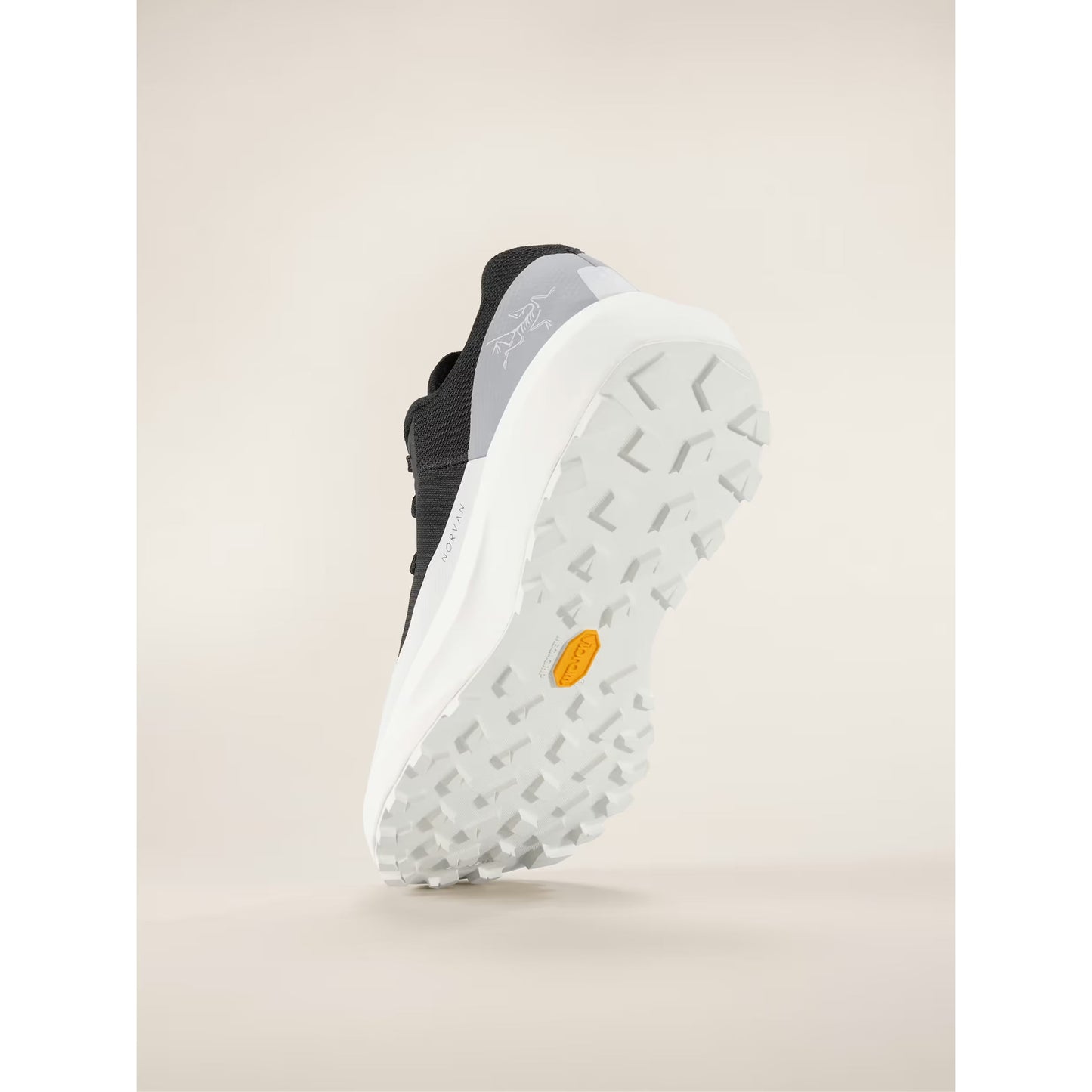 Arc'teryx Women's Norvan LD 4 Shoe