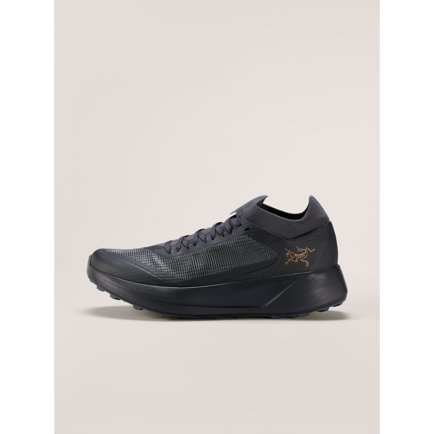 Arc'teryx Men's Sylan 2 Shoes