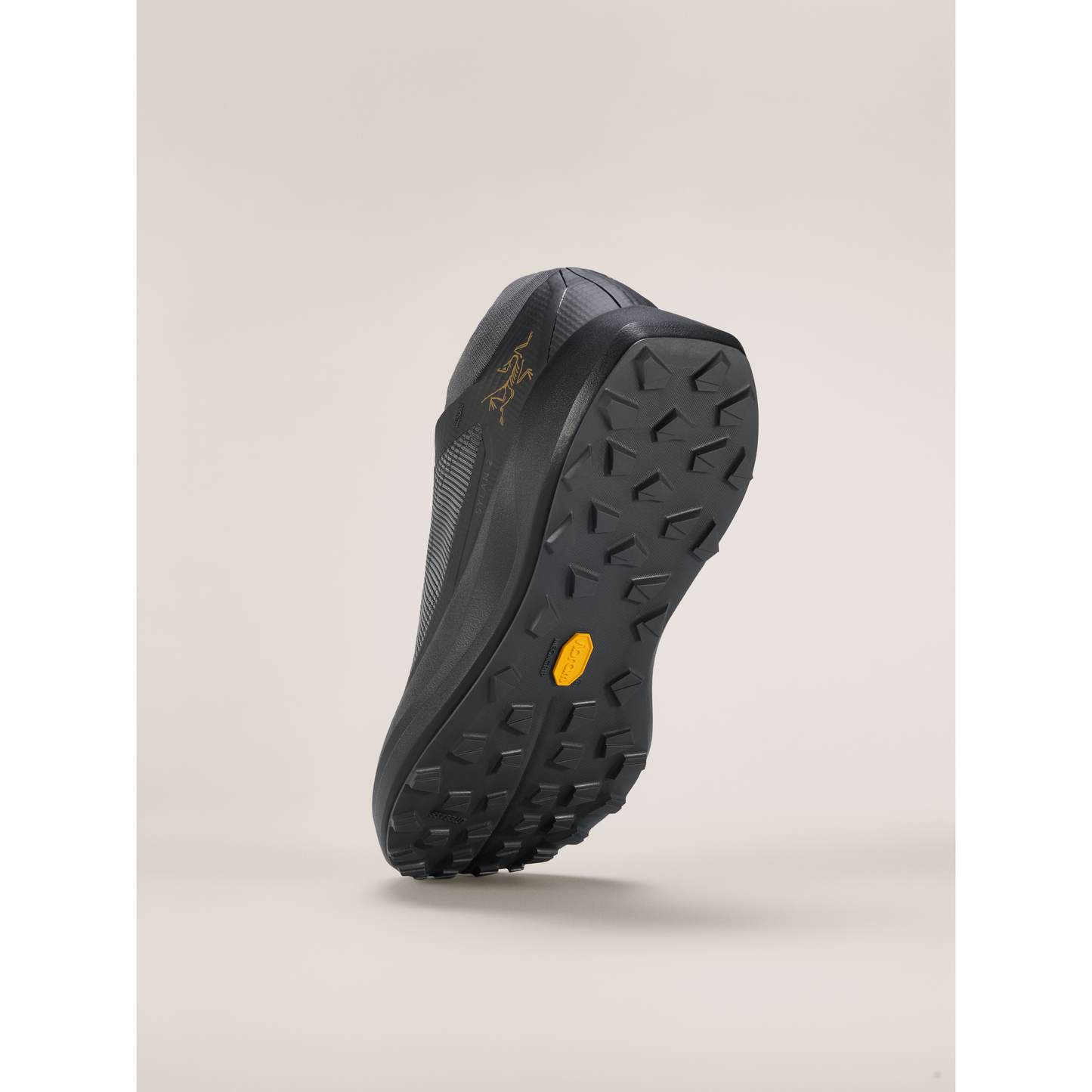 Arc'teryx Men's Sylan 2 Shoes