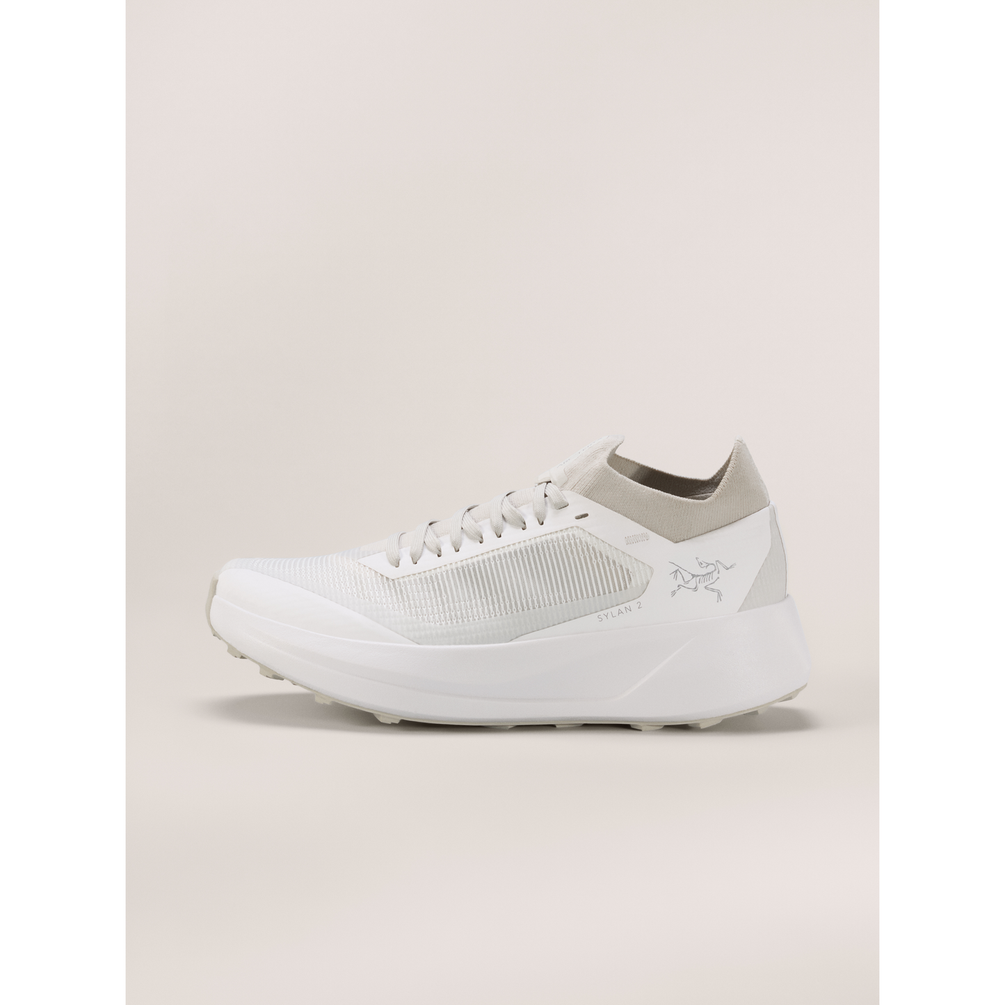 Arc'teryx Men's Sylan 2 Shoes